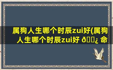属狗人生哪个时辰zui
好(属狗人生哪个时辰zui
好 🌿 命 🕸 运)
